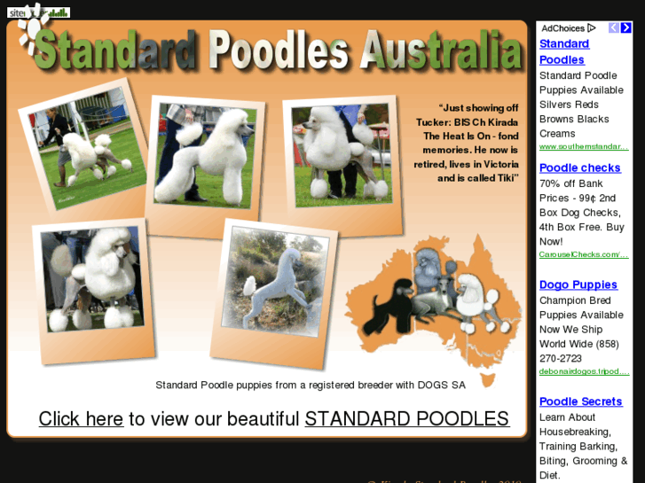 www.standardpoodlesaustralia.com