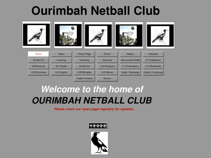 www.ourimbahnetball.com