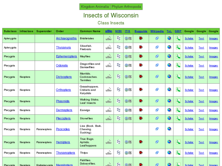 www.wisconsininsects.org