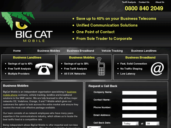 www.bigcatmobile.com