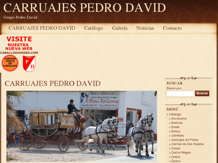 www.carruajespedrodavid.com