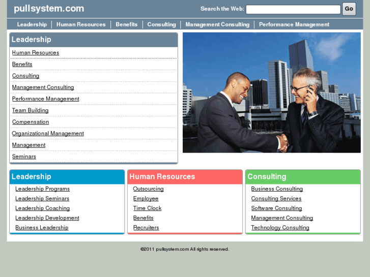 www.consultaudit.com