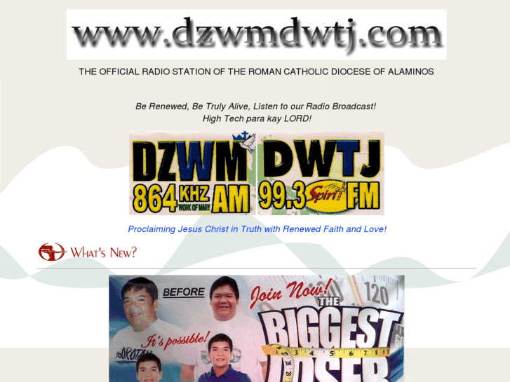 www.dzwmdwtj.com