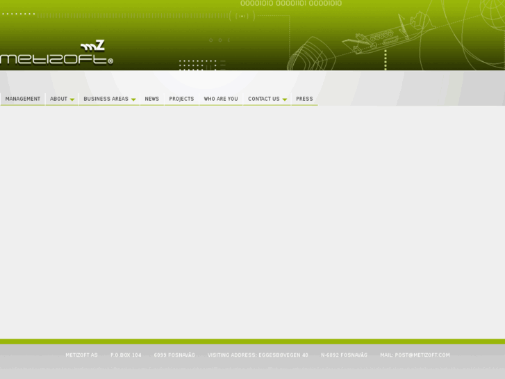 www.metisoft.info