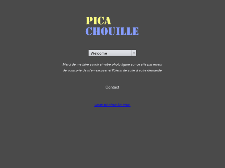 www.picachouille.com