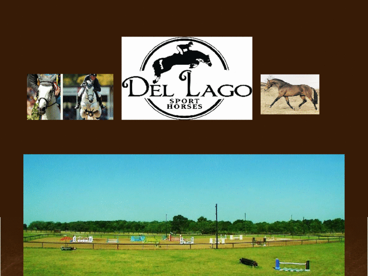 www.delagosporthorses.com