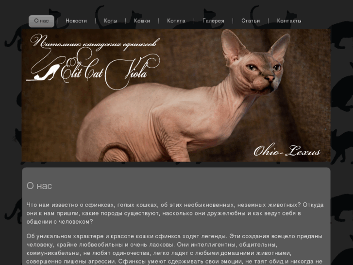 www.elitcat.com