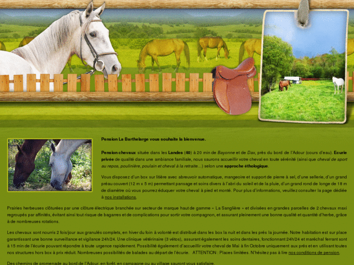 www.pension-chevaux-la-barthelarge.com