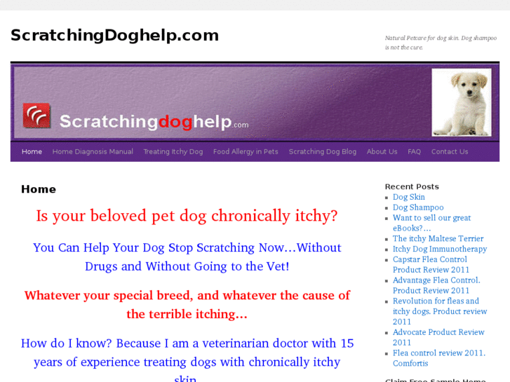 www.scratchingdoghelp.com