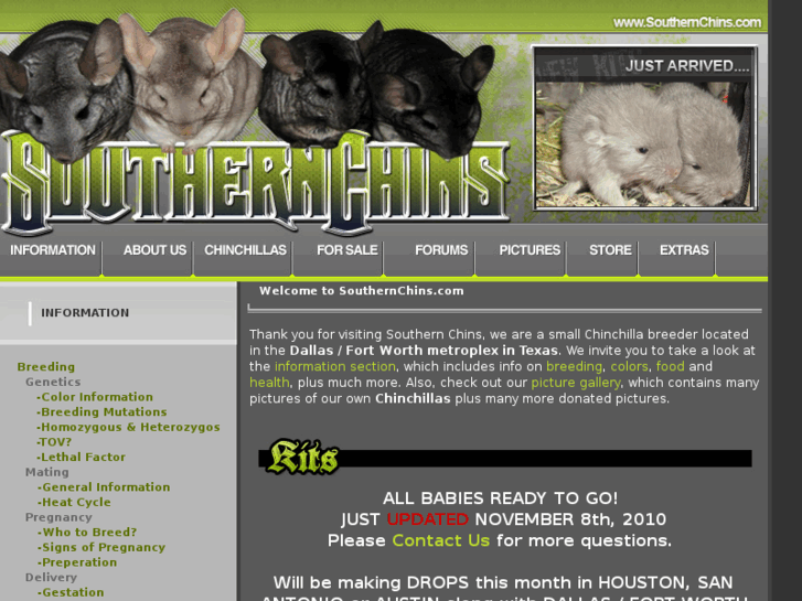 www.southernchinchillas.com