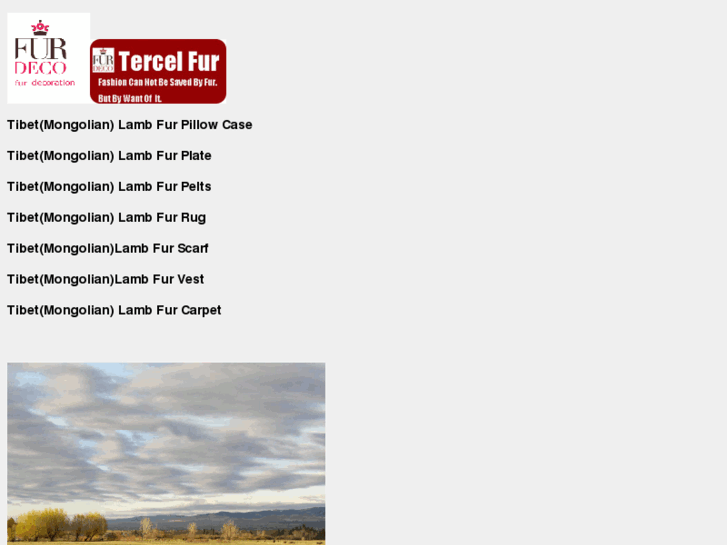 www.tercel-fur.com
