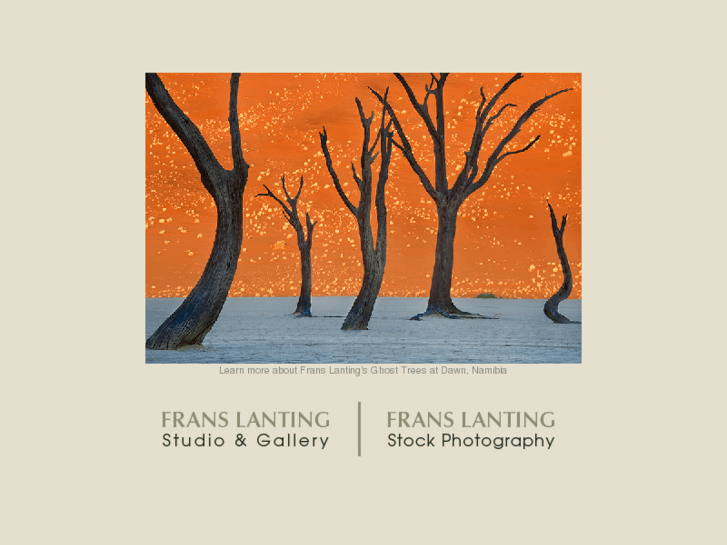 www.franslanting.com