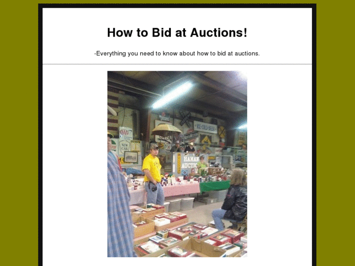 www.howtobidatauctions.com