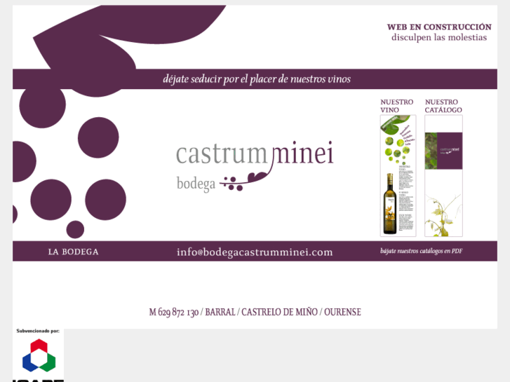 www.bodegacastrumminei.com