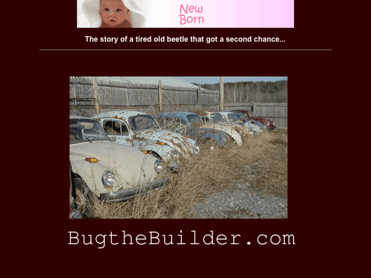 www.bugthebuilder.com