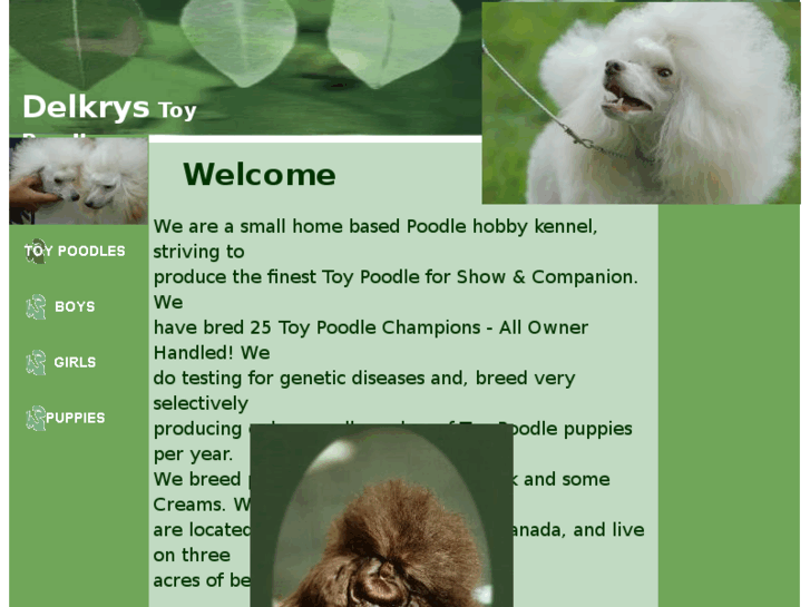 www.delkrystoypoodles.com