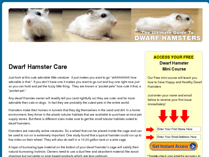 www.lovablehamster.com