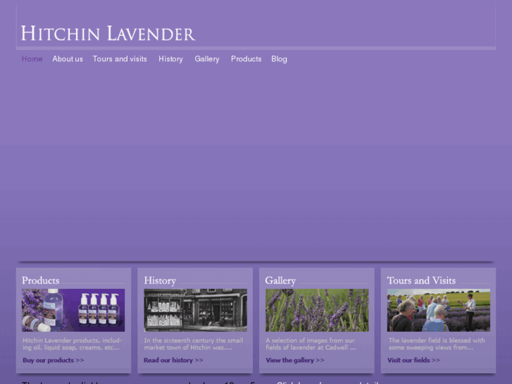 www.hitchinlavender.com