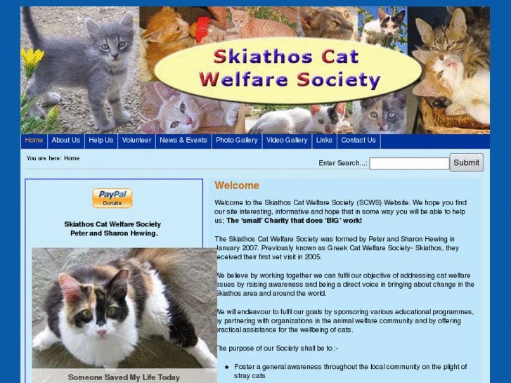 www.skiathos-cats.org