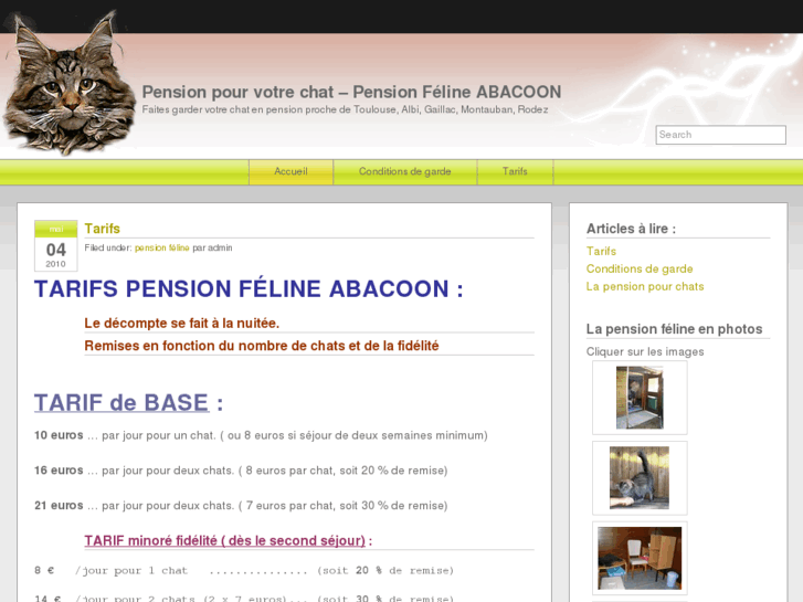 www.abacoon.com