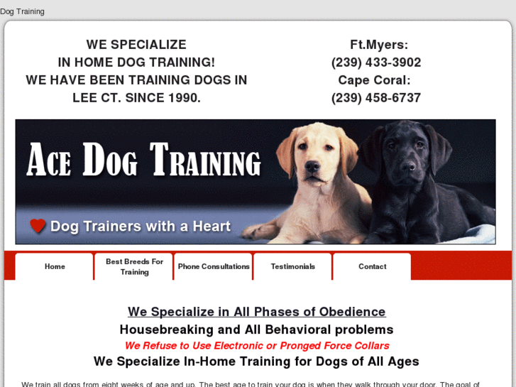 www.acedogtraining.biz