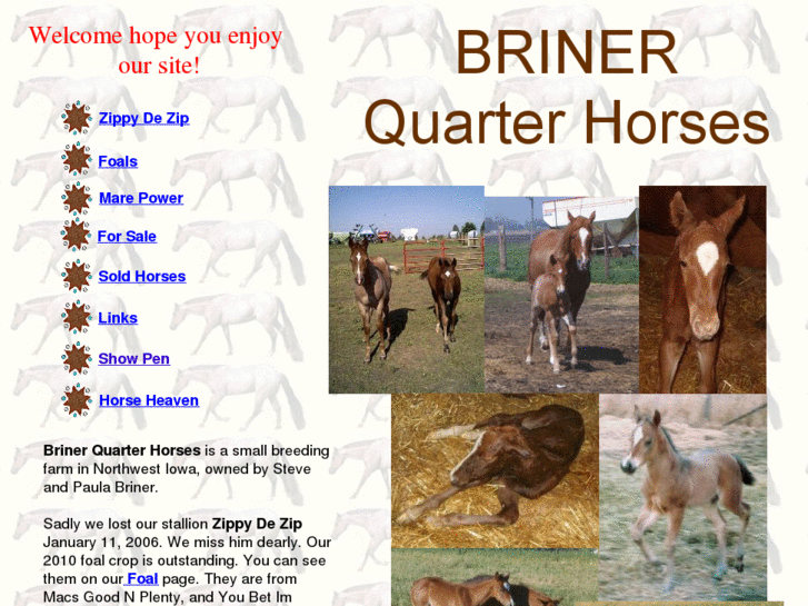 www.brinerquarterhorses.com