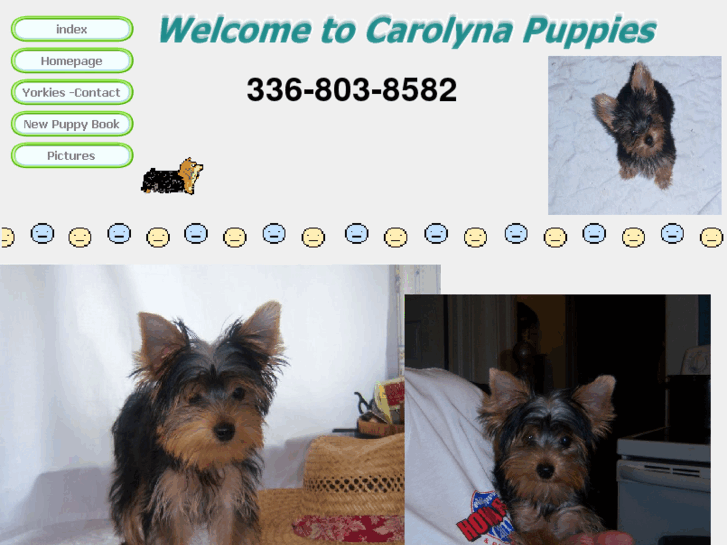 www.carolynapuppies.com