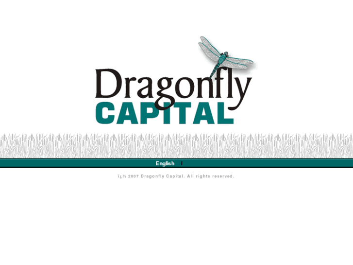 www.dragonflycapitalgroup.com