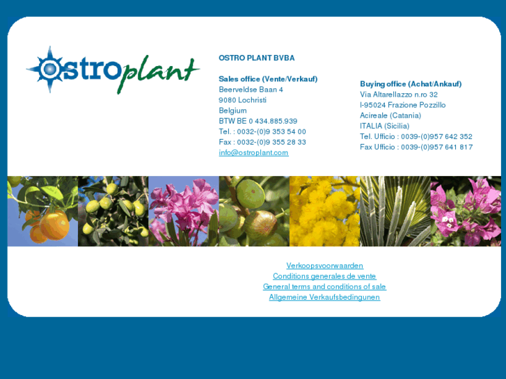 www.ostroplant.com