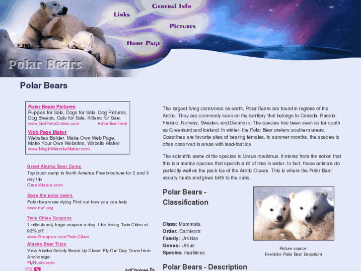 www.polar-bears-polar-bears.com