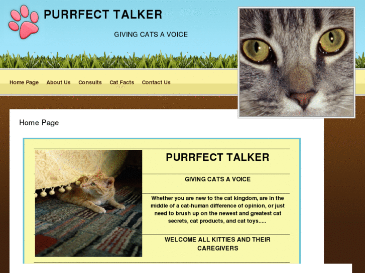 www.purrfecttalker.com