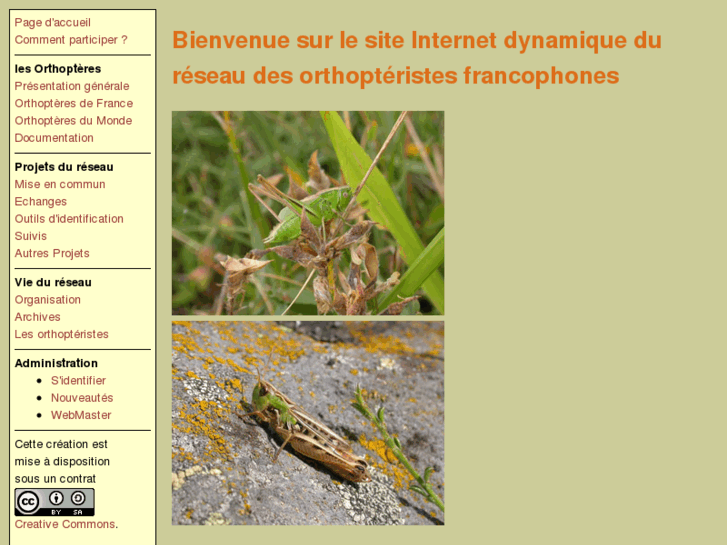 www.tela-orthoptera.org