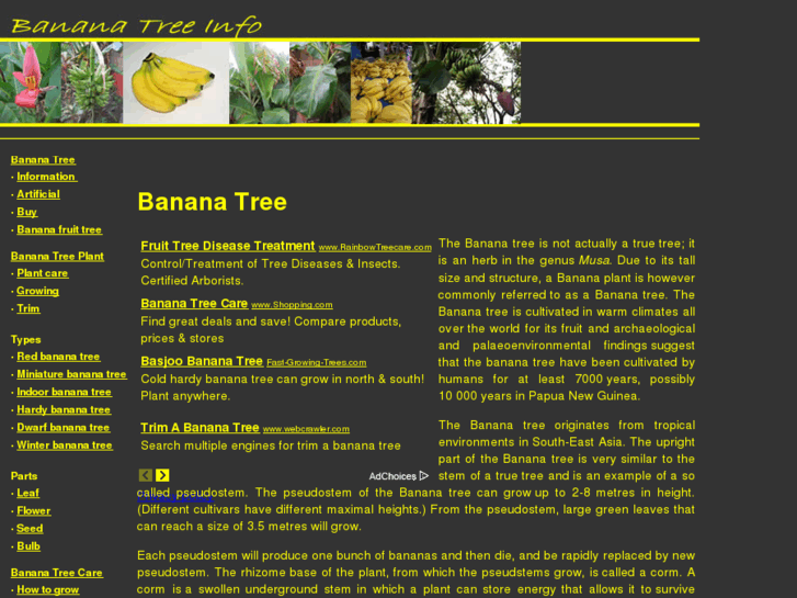 www.bananatree.info