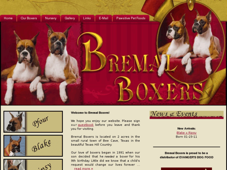 www.bremalboxers.com