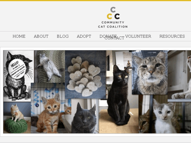 www.communitycatcoalition.com