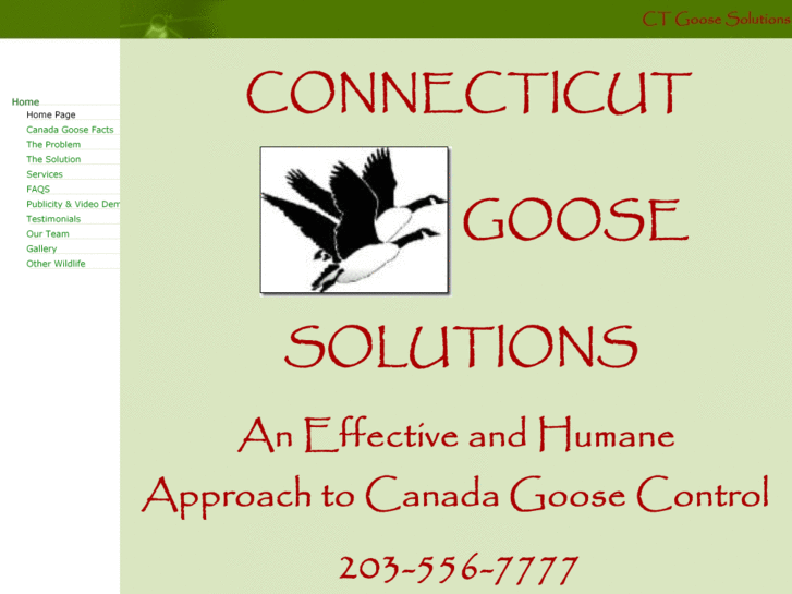 www.ctgoosesolutions.com