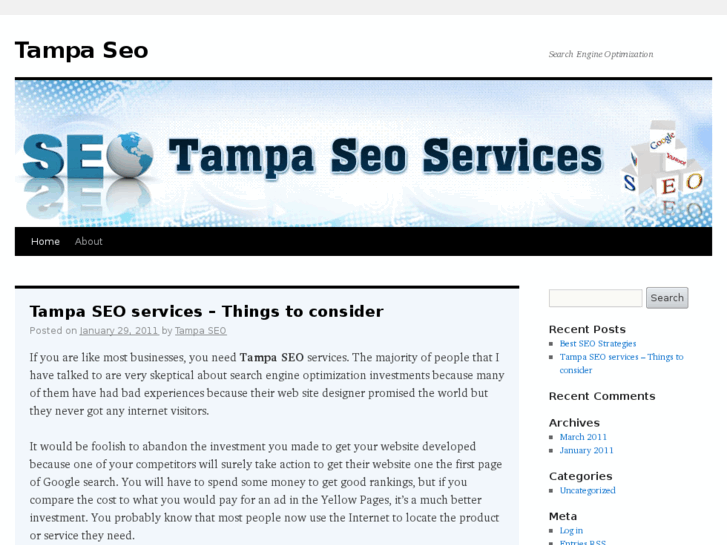 www.tampa-seo.us