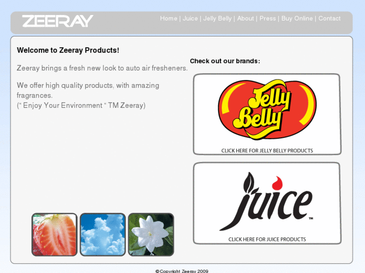 www.zeeray.com