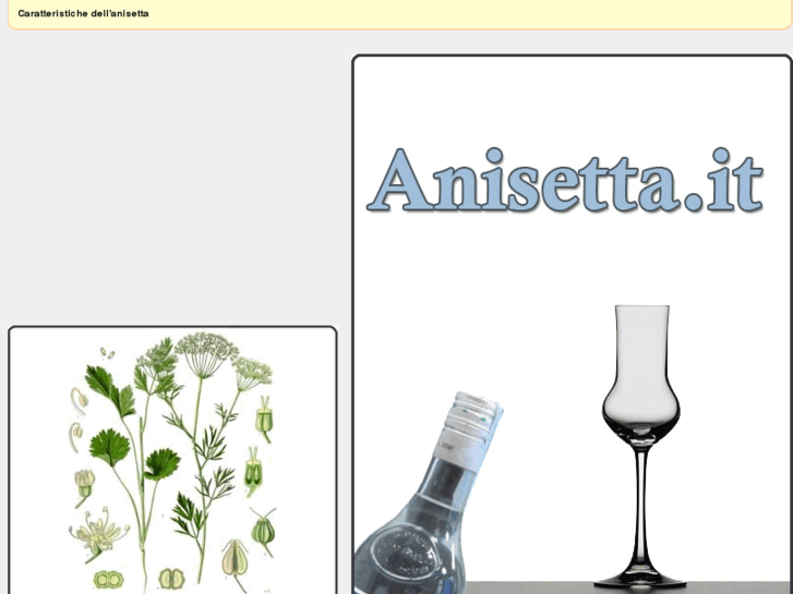 www.anisetta.it