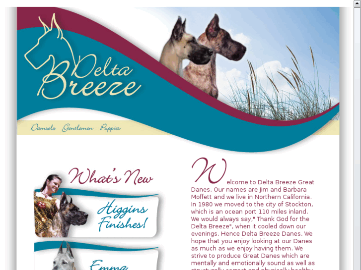 www.deltabreezegreatdanes.com