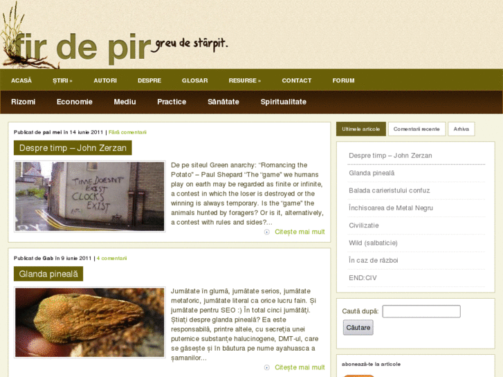 www.firdepir.ro