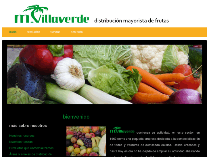 www.mvillaverde.com