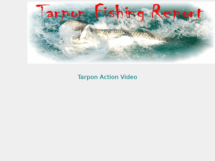 www.tarponfishingreport.com