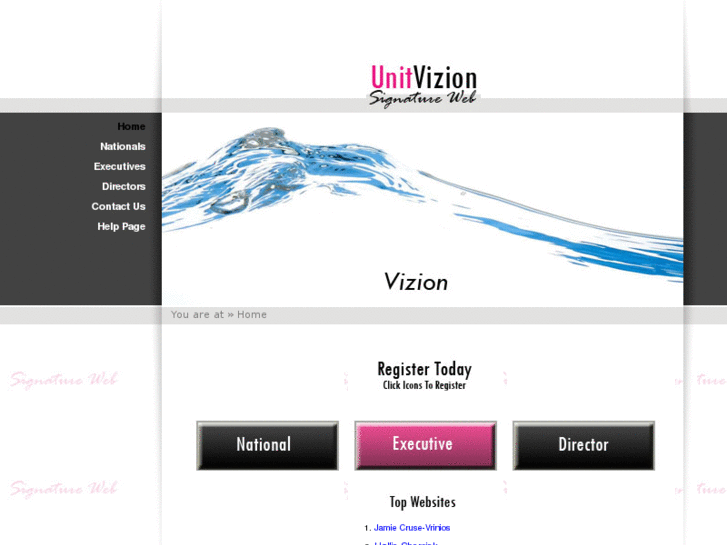 www.unitvizion.com