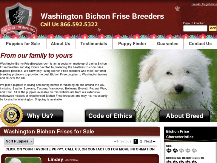 www.washingtonbichonfrisebreeders.com