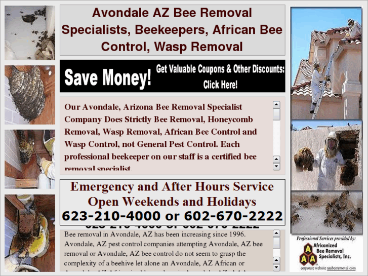 www.avondaleazbeeremoval.com