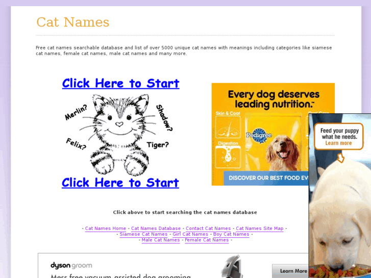 www.cat-names.us