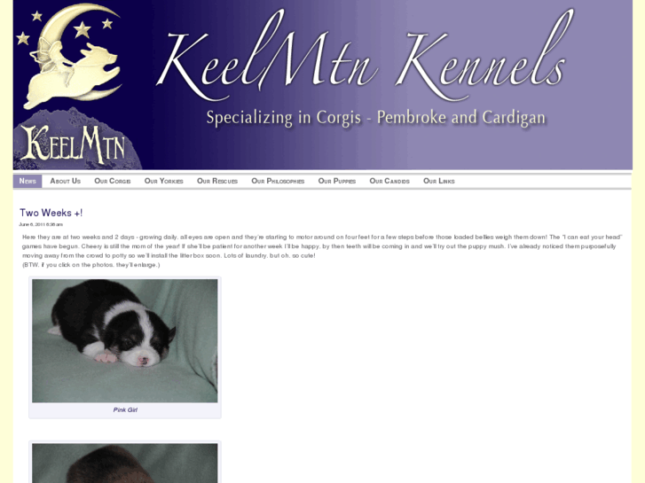 www.keelmountainkennels.info