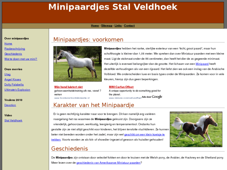 www.mini-paardjes.be