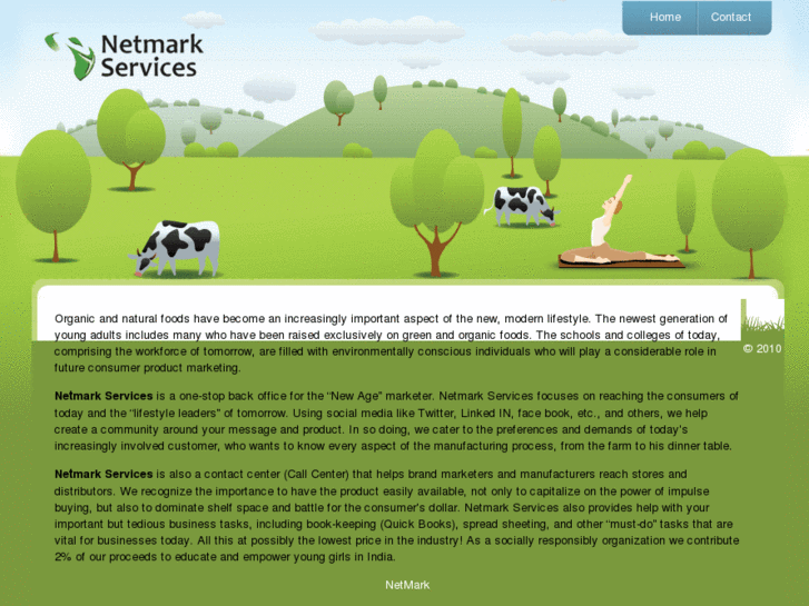 www.netmarkservices.com